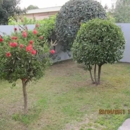 Residence Olbia Pensionat 3*